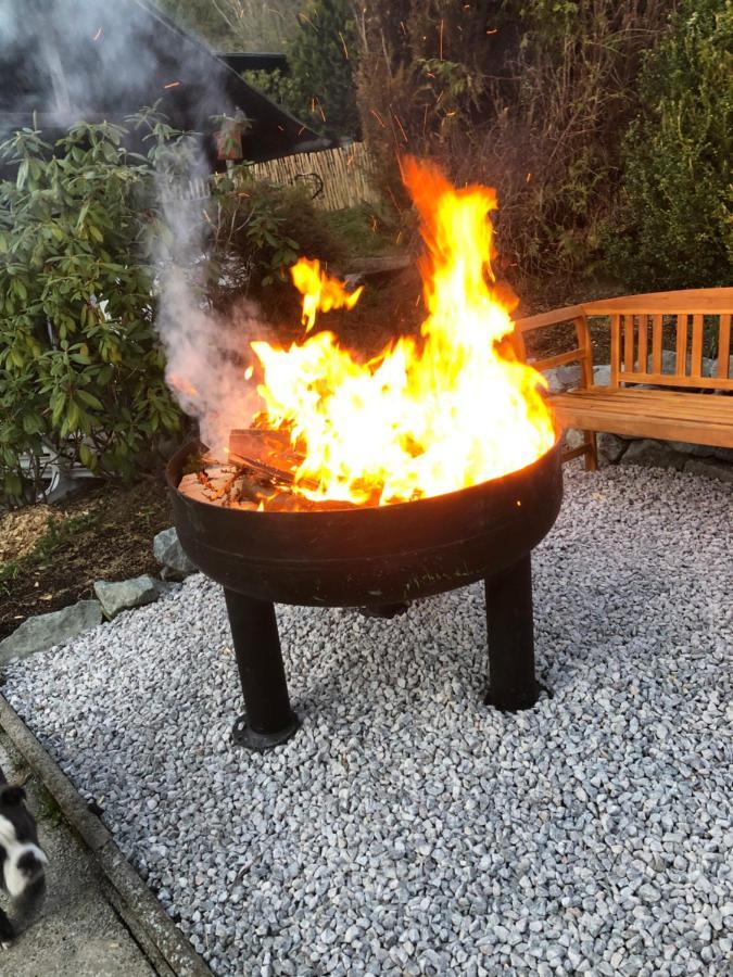 Ferienhaus Winterberg Fuer 12 Personen Sauna Garten Garage Hund Exterior foto